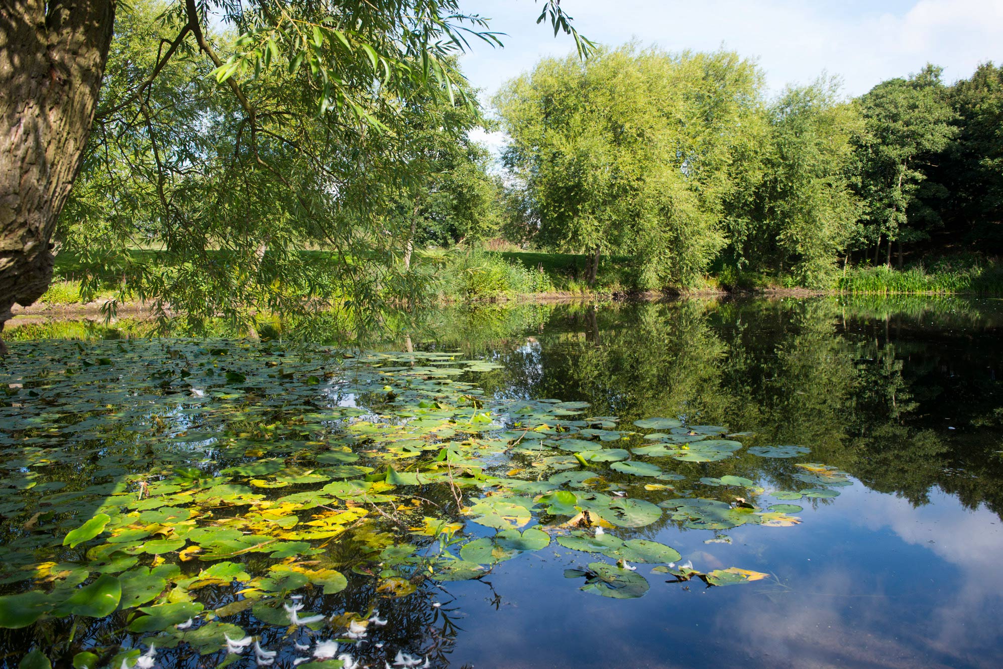 The Best Places to Go Open Water Swimming in Nottingham – Swimguard