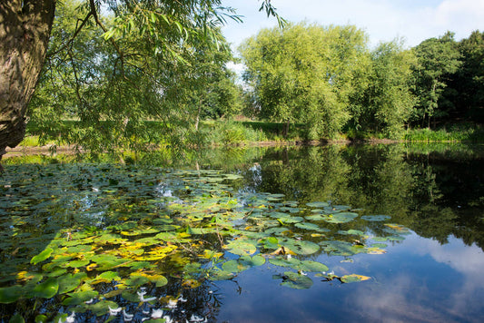 The Best Places to Go Open Water Swimming in Nottingham